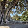Rushcutters Bay Park