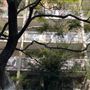Rushcutters Bay