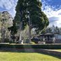 Allview Escape at Blackheath