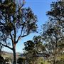 Coopers Gully Farmland