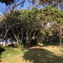 Nambucca Heads Swimming Creek