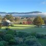 Hartvale Gardens and Cottage