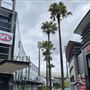 Entertainment Quarter (EQ Moore Park)