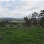 Tocal Farm