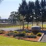 Adina Vineyard and Olive Grove