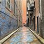 Kimber Lane