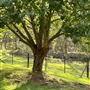 Winbourne Estate Country Bed and Breakfast