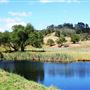 Beauden Park