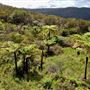 Glenworth Valley Wilderness Adventures