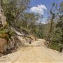 Glenworth Valley Wilderness Adventures