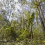 Glenworth Valley Wilderness Adventures