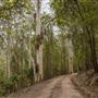 Glenworth Valley Wilderness Adventures