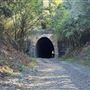 Picton Mushroom Tunnel