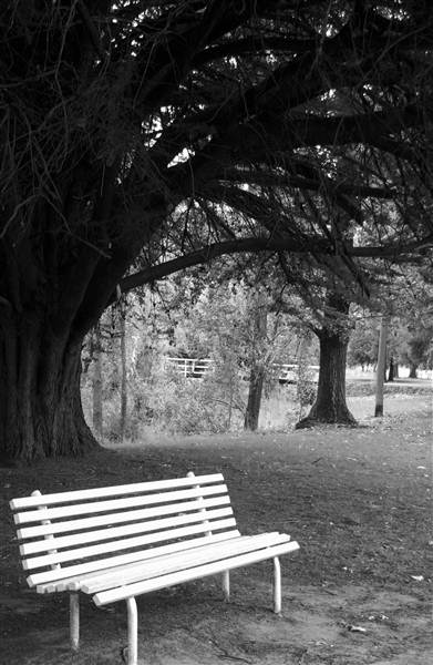Alma Park (25/02/2013 11:09:43 AM)