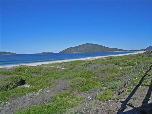 Bennetts Beach (26/02/2013 1:03:27 PM)