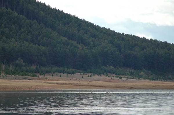 Blowering Dam & Reservoir (26/02/2013 3:18:57 PM)