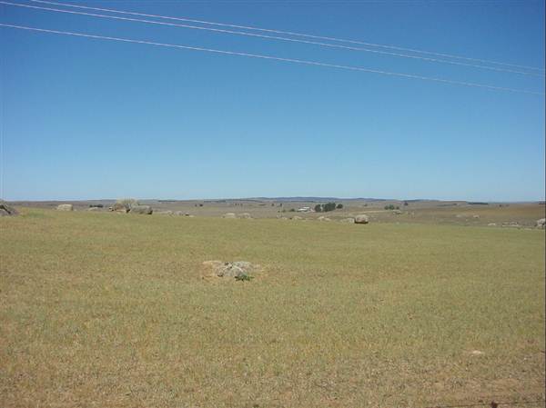 Dalgety/Cooma (27/02/2013 10:55:07 AM)