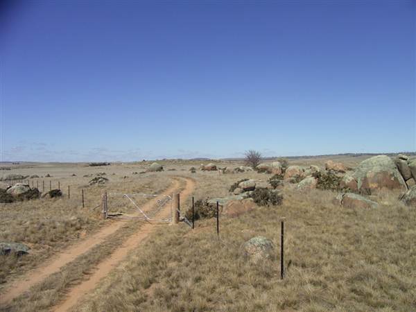 Dalgety/Cooma (27/02/2013 10:59:01 AM)