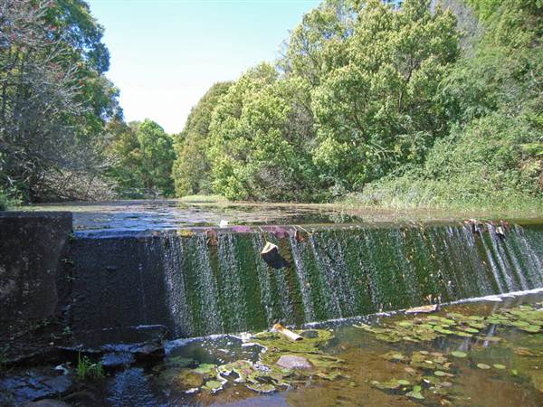 Dalwood Falls (27/02/2013 11:45:05 AM)