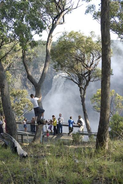 Dangars Falls - Oxley Wild Rivers National Park (27/02/2013 11:55:30 AM)