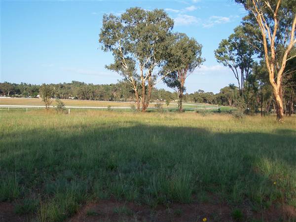 Coonabarabran Jockey Club (27/02/2013 1:36:06 PM)