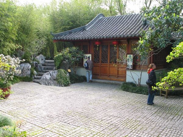Chinese Garden of Friendship - Darling Harbour (27/02/2013 1:39:17 PM)