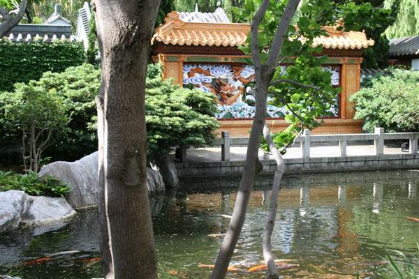 Chinese Garden of Friendship - Darling Harbour (27/02/2013 1:40:48 PM)