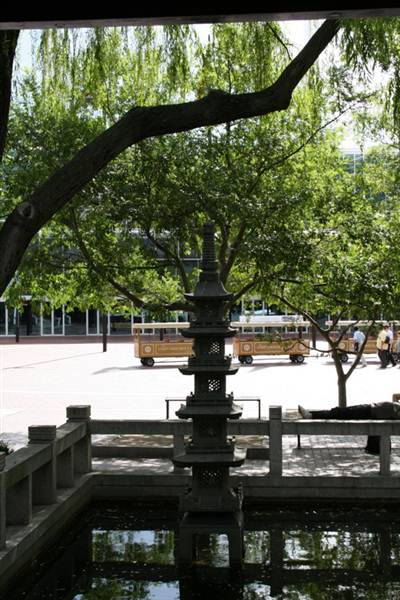 Chinese Garden of Friendship - Darling Harbour (27/02/2013 1:41:07 PM)