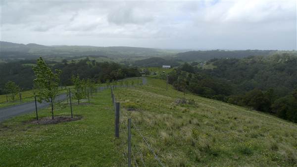 Jamberoo Farm (27/02/2013 2:36:24 PM)