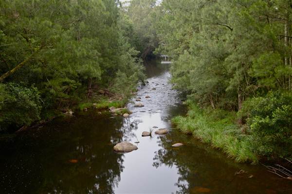 Kangaroo Valley River Suspension Bridge (27/02/2013 4:20:54 PM)