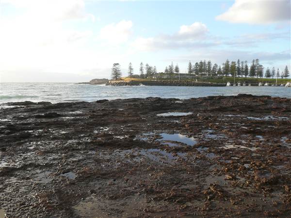 Kiama - Rock Pool North (27/02/2013 4:54:18 PM)