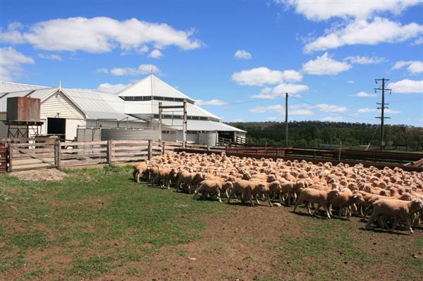 Deeargee Woolshed (27/02/2013 7:49:02 PM)