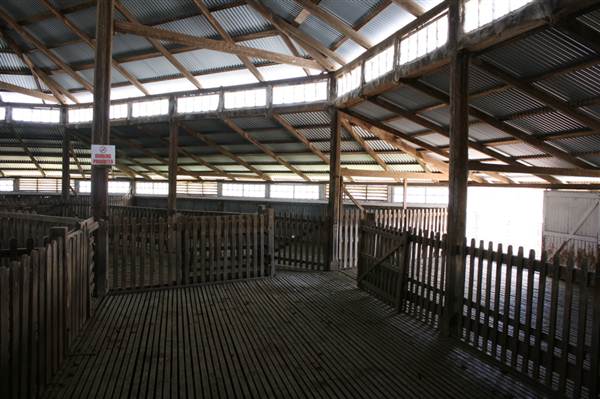 Deeargee Woolshed (27/02/2013 7:49:37 PM)