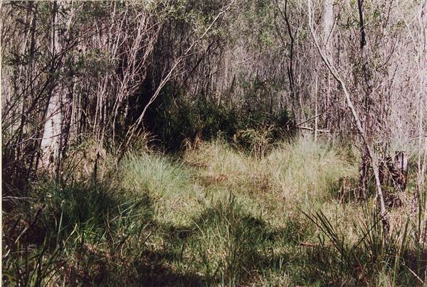 Deep Creek Reserve (27/02/2013 8:31:50 PM)