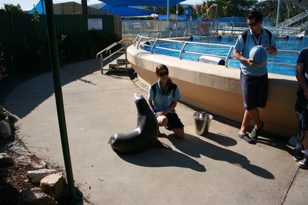 Dolphin Marine Magic (27/02/2013 10:44:01 PM)
