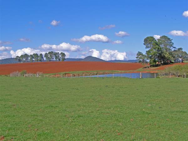 Dorrigo - General (27/02/2013 10:51:10 PM)
