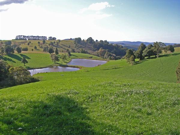 Dorrigo - General (27/02/2013 10:52:43 PM)