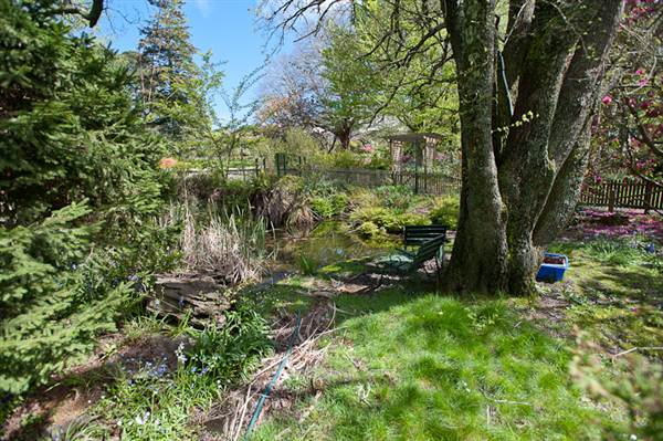 Lady Fairfax Gardens (28/02/2013 10:11:38 AM)