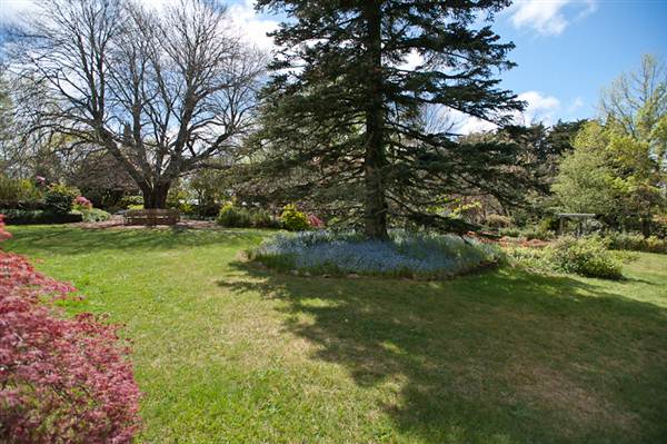 Lady Fairfax Gardens (28/02/2013 10:12:22 AM)