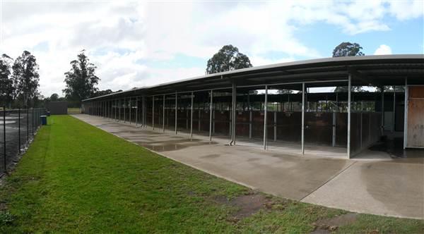 Menangle Park Paceway (28/02/2013 3:25:53 PM)