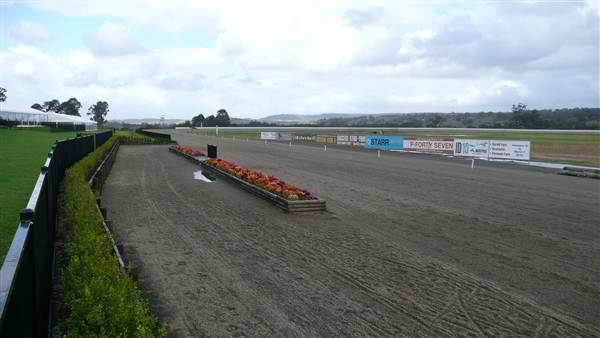 Menangle Park Paceway (28/02/2013 3:31:55 PM)