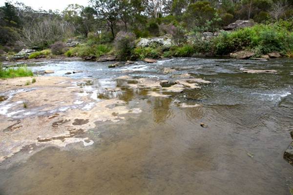 Berrima Reserve (28/02/2013 9:35:23 PM)