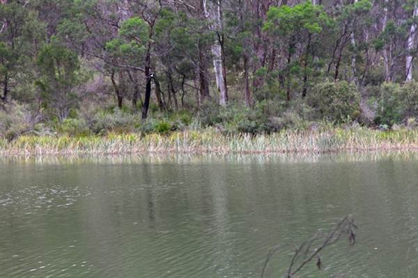 Berrima Reserve (28/02/2013 9:35:39 PM)