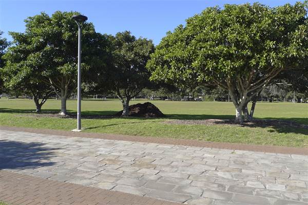 Glebe Foreshore Parks (1/03/2013 10:06:51 AM)