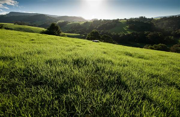 Jamberoo (1/03/2013 11:34:08 AM)
