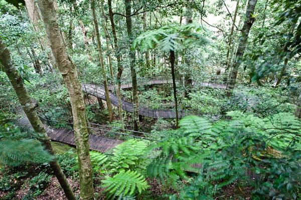 Jamberoo (1/03/2013 11:35:42 AM)