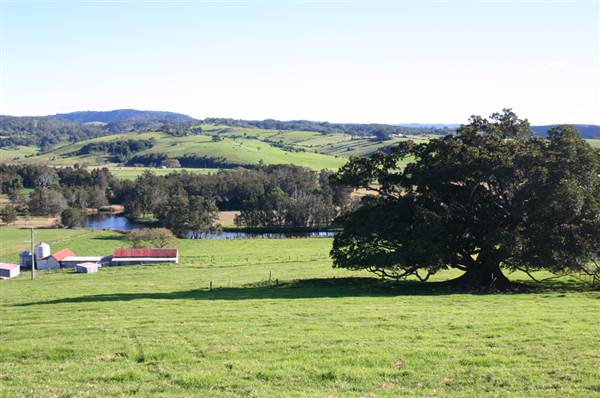 Jamberoo (1/03/2013 11:36:30 AM)