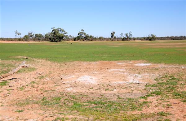 Bourke & Environs (1/03/2013 11:42:56 AM)