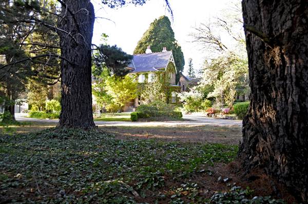 Bowral - Southern Highlands (1/03/2013 11:46:16 AM)