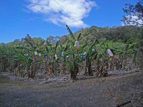 Private Property (1/03/2013 11:46:47 AM)